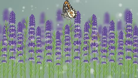 a butterfly flutters gracefully through a lavender field, set against a serene, softly lit background