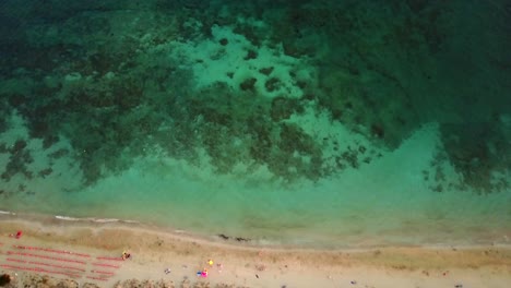 vista de los fondos marinos mediterráneos cerca de una playa en puglia en italia