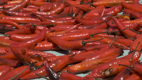 primer plano de chiles rojos picantes maduros