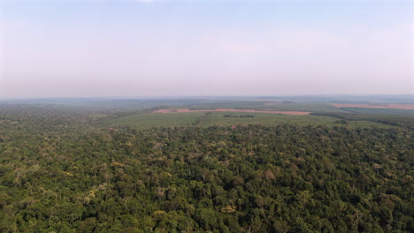 aerial panoramic overview of the dense misiones jungle, argentina, vast green canopy stretching to the horizon