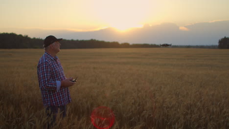 a senior adult farmer in a cap uses a drone to fly over a field of wheat. an elderly farmer uses a controller to control the drone. modern technologies in agriculture