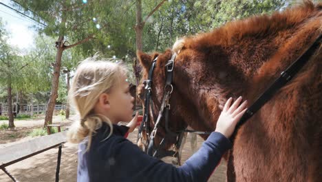 girl interacting with a horse at a stable