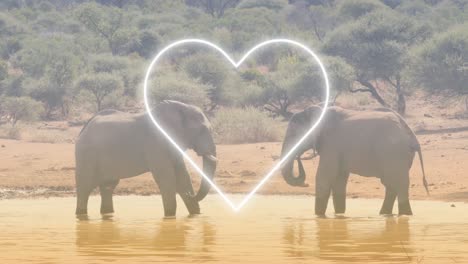 Animation-of-heart-over-elephants-on-savanna
