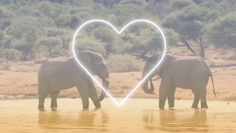 animation of heart over elephants on savanna