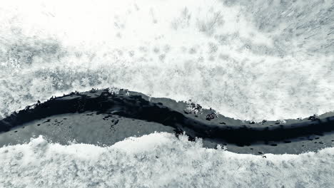 Descending-shot-of-a-black-river-in-the-middle-of-a-white-snowy-forest