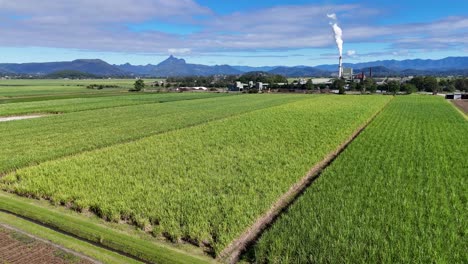 drone footage over lush green fields and a distant factory emitting smoke under clear skies