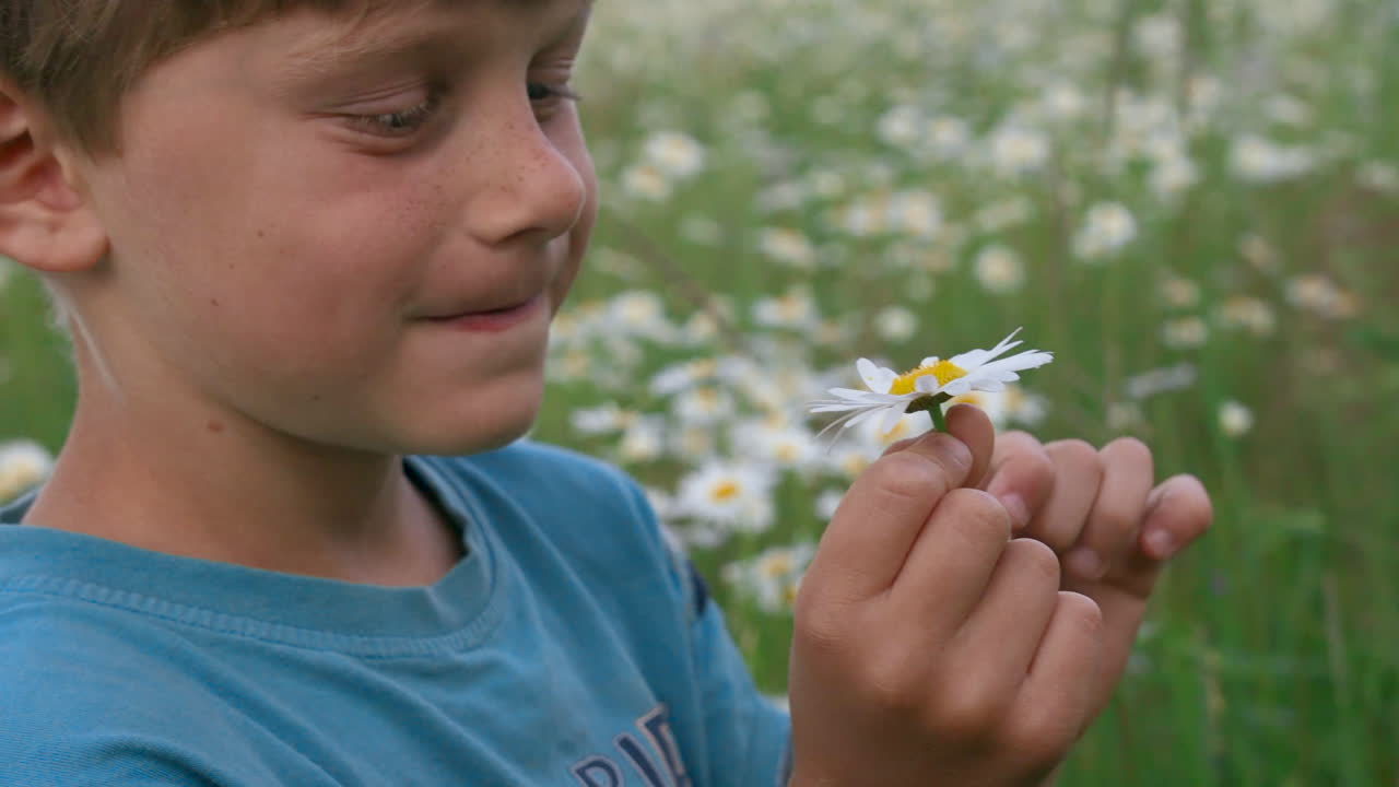 niño sosteniendo una margarita en un campo