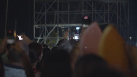 music fans enjoying the concert and dancing