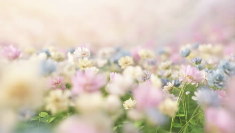 soft pastel flower field