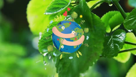 Animation-Des-Globussymbols-über-Der-Bewässerung-Von-Pflanzen