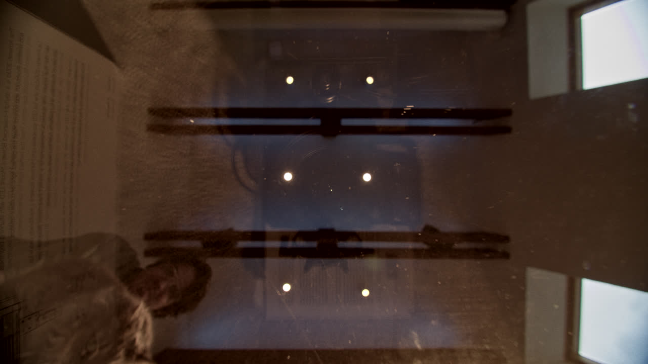 Adorable Fluffy Cat on a Glass Surface