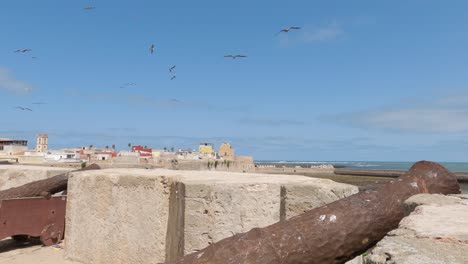 vantage point from fortress overlooking city and coastline