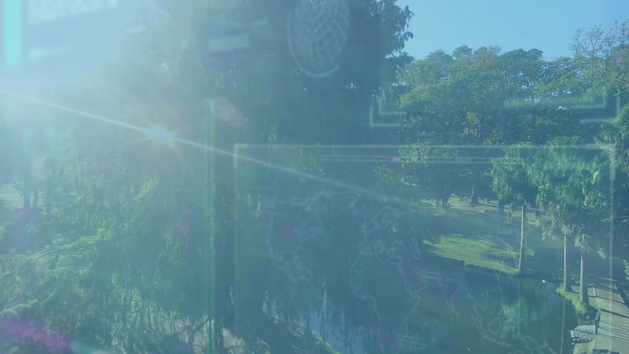 Streaming sunlight through trees with animation overlaying nature scene in forest