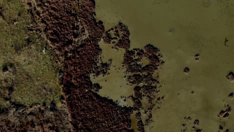 Beautiful-abstract-texture-of-marshland-with-brown-dried-grass-and-clay-washed-by-calm-water-of-shallow-lagoon,-aerial-spin-view