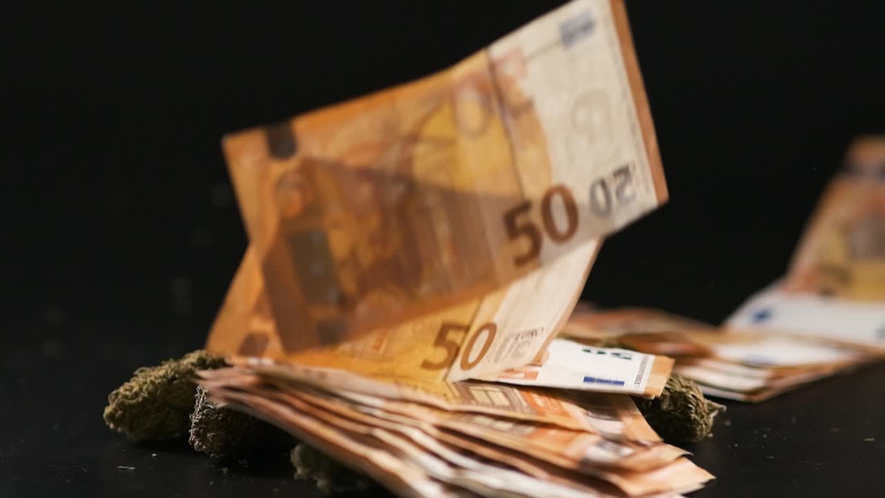Marijuana buds falling near money bills over a dark background.