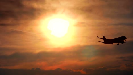 the plane flies against the background of the sunset