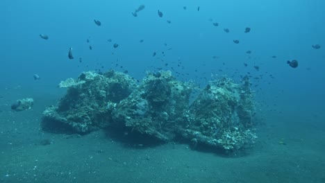 Corals-and-fishes-at-Tulamben-Coral-Garden,-underwater-super-slow-mo