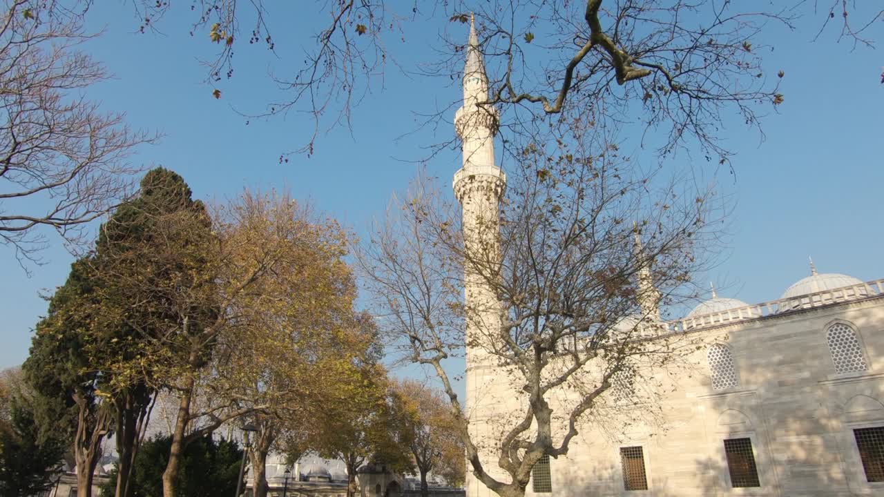 panorámica sobre los árboles en el pintoresco patio de la mezquita de suleymaniye mientras el cuervo pasa volando en un día soleado en estambul, turquía