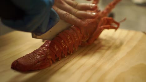 slowmo - close up - cutting down through a cooked new zealand crayfish to split it in halves on a wooden cutting board