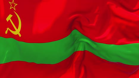 flag of the transnistrian republic