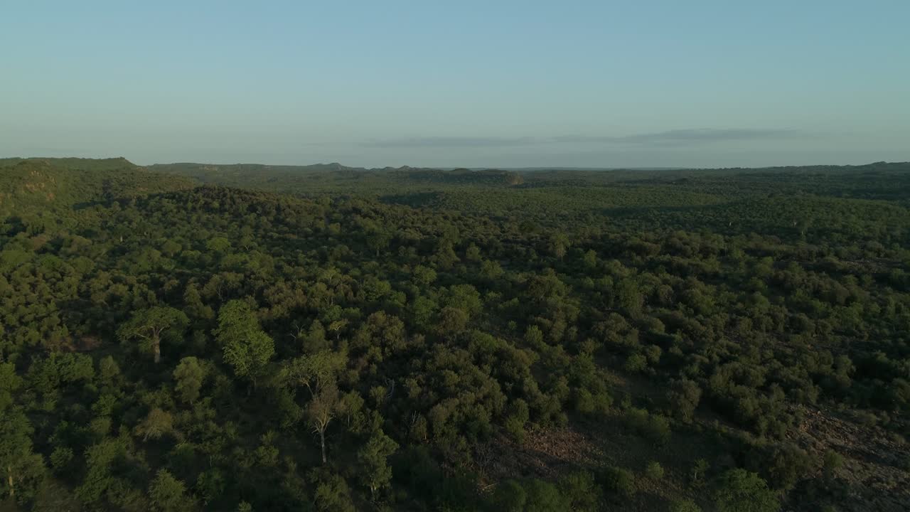 Epický letecký záběr letu nad buší v národním parku Kruger, Jižní Afrika