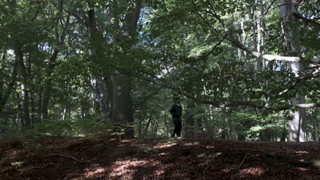 Casual-Adult-Male-Walking-Along-Forest-Path-From-Left-To-Right