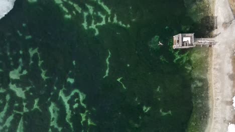 Directly-above-view-of-unrecognisable-person-swimming-during-winter,-Lake-Jasna,-Slovenia