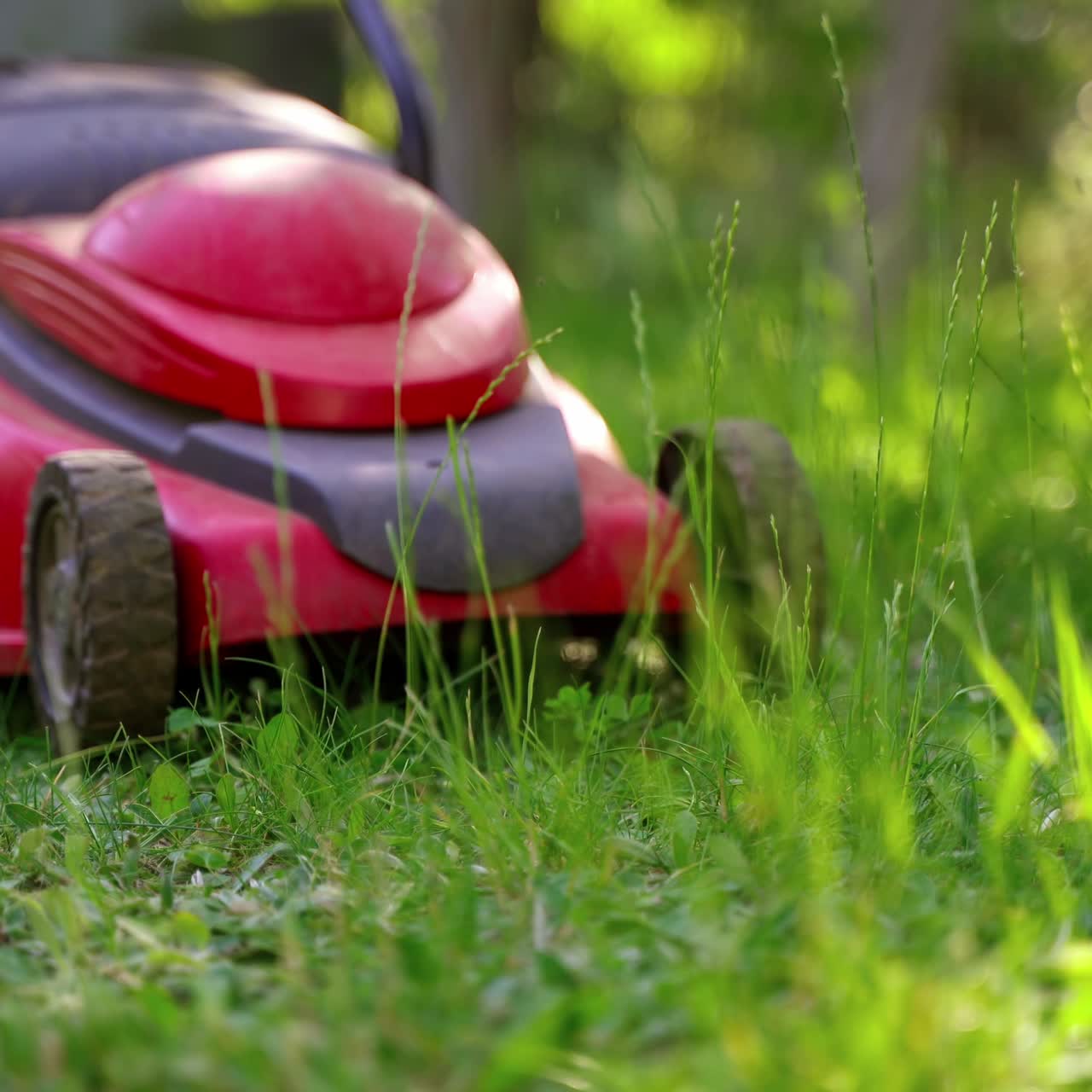Lawn mower in the garden. Gardener mowing green grass in backyard. Electric mower machine in summer. Close-up.