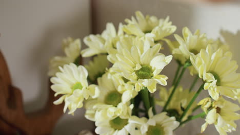 Close up of soft yellow daisies in full bloom with delicate green centers, arranged indoors with blurred wooden cutting board in background