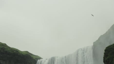 Seagulls-flying-over-a-waterfall-in-Iceland