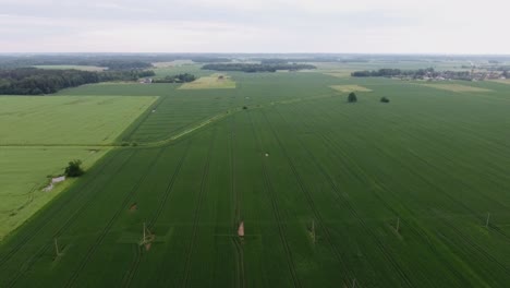 Strommastleitungen-In-Grünen-Landwirtschaftlichen-Feldern.-Luftbild-Richtiges-Filmmaterial-1