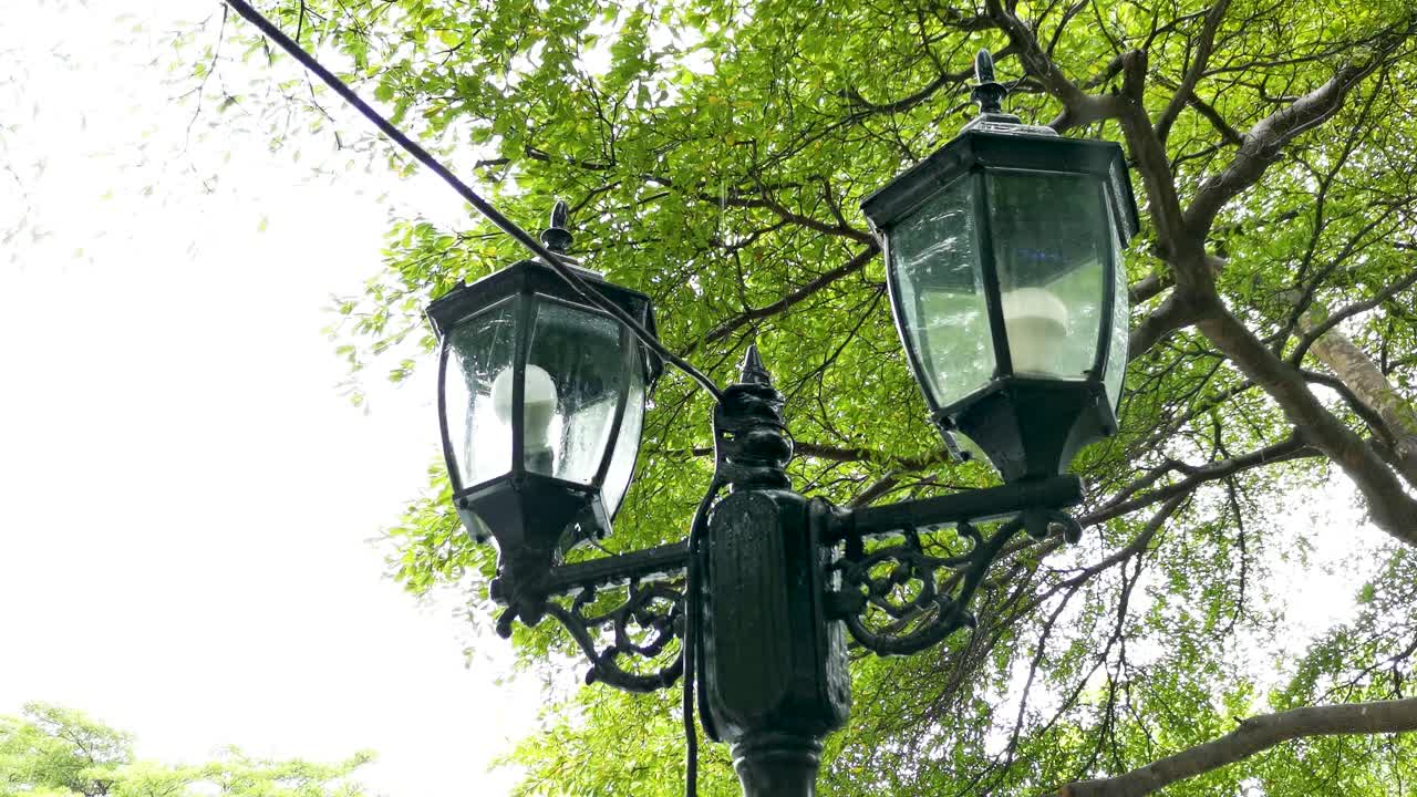 черный французский уличный фонарь с дождем и деревом на заднем плане