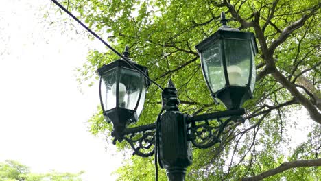 Schwarze-Französische-Straßenlaterne-Mit-Regen-Und-Einem-Baum-Im-Hintergrund