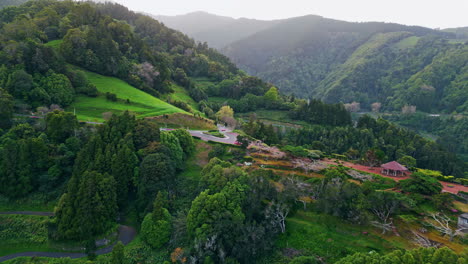 amazing mountains forest house drone shot. countryside road passing woodland