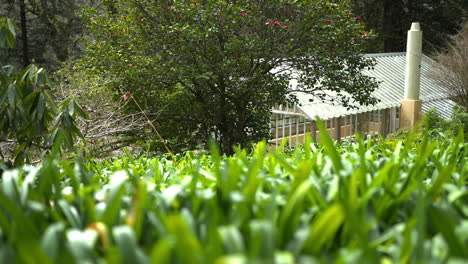 invernadero en un entorno de jardín