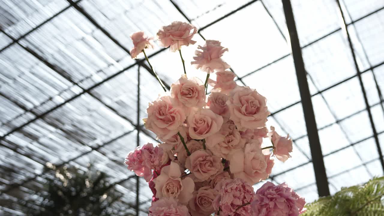 몽환적인 분위기 속에서 자연광을 받아 피어나는 섬세한 분홍 장미