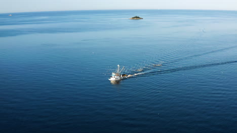 blue sea with navigating boat near rovinj town in istrian peninsula, croatia