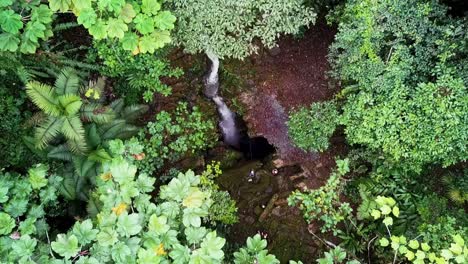 Vista-Desplegable-De-La-Cascada-En-Una-Caverna-Amazónica-En-Ecuador