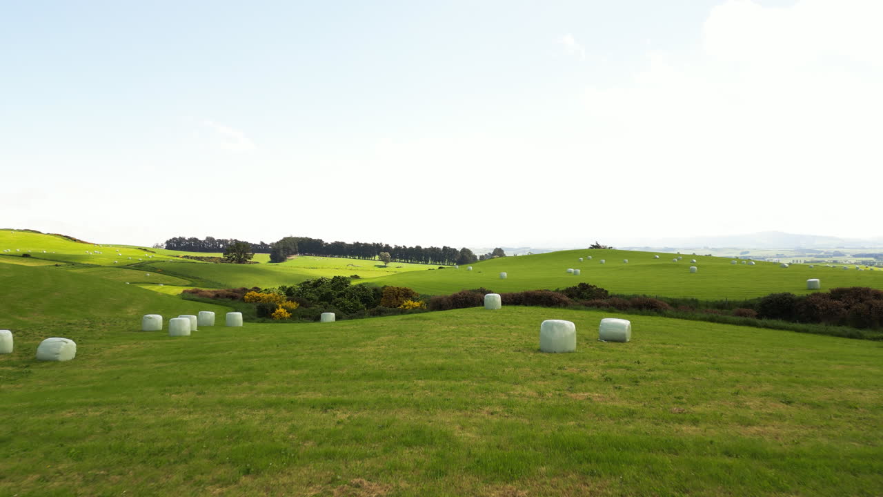 fardos de heno bien recogidos yacen en campos agrícolas verdes en el área de gore, nueva zelanda