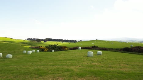 fardos de heno bien recogidos yacen en campos agrícolas verdes en el área de gore, nueva zelanda