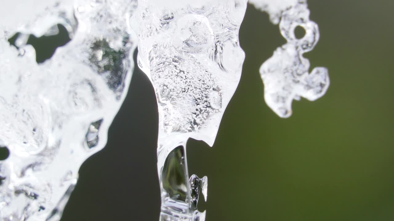 숲 의 큰 얼음 블록