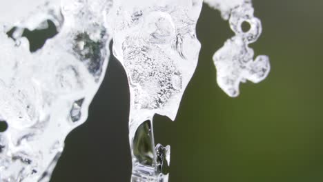 a large ice block on the side of the forest