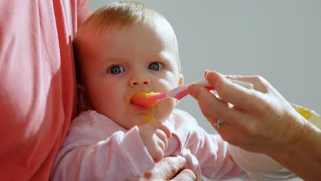 parents feeding their baby boy at home 4k