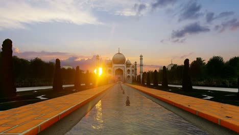 taj mahal es un hermoso amanecer, la cámara vuela