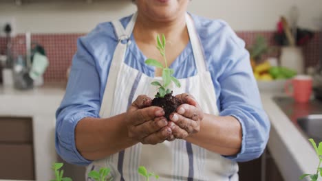 sección media de una mujer mayor asiática sosteniendo una muestra de planta en casa
