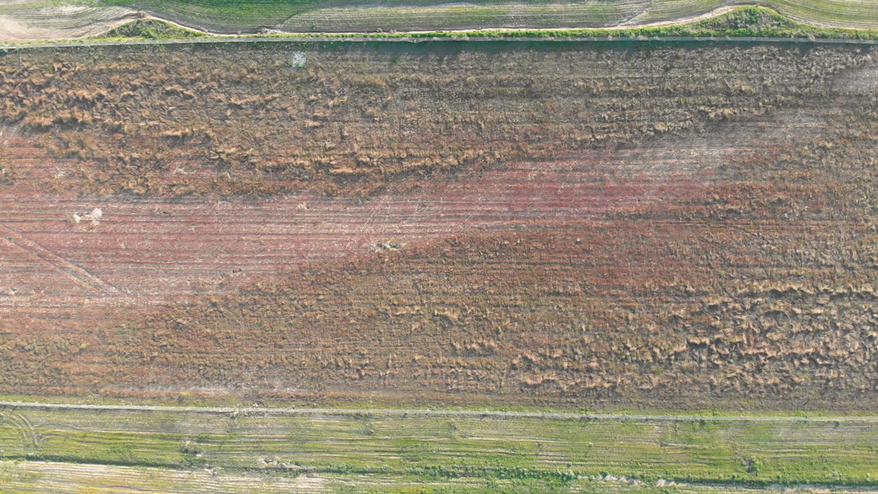 푸른 싹이 트는 어린 초목과 노란색의 녹지 않은 들판이 있는 들판의 공중 전망, 추상적인 인상