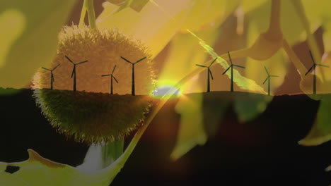 medio ambiente y bienestar