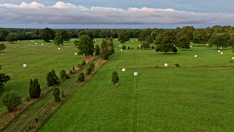 big scary cloud in the background of a green field with oak trees