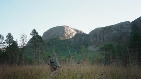 hildremsvatnet, trondelag, norway - a man hiking with his canine companion - static shot