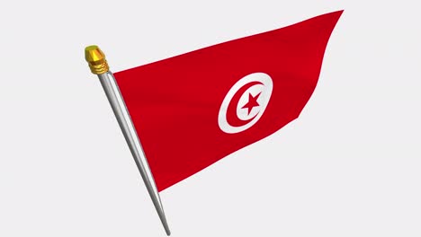 loop video of tunisia flag  fluttering in the wind, slow motion video of 4k , with alpha channel